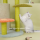 Climbing Toys for Kittens Wholesale